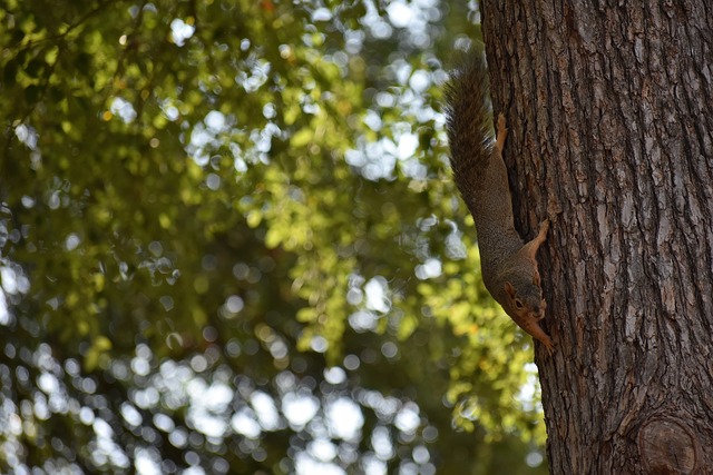 突破自我 突破自我