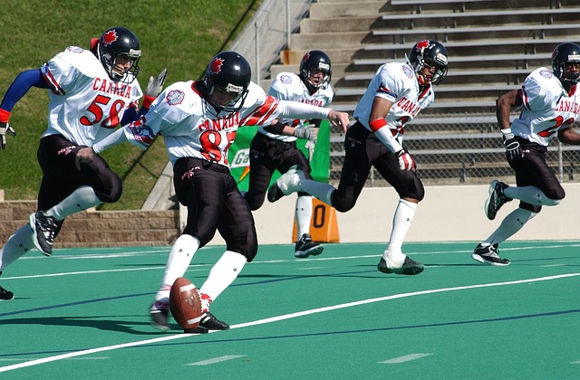 可持續性 可持續性