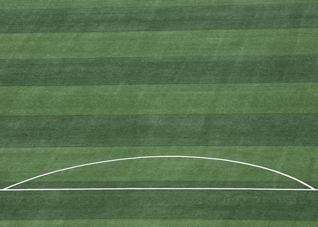 的得分优势 的得分优势