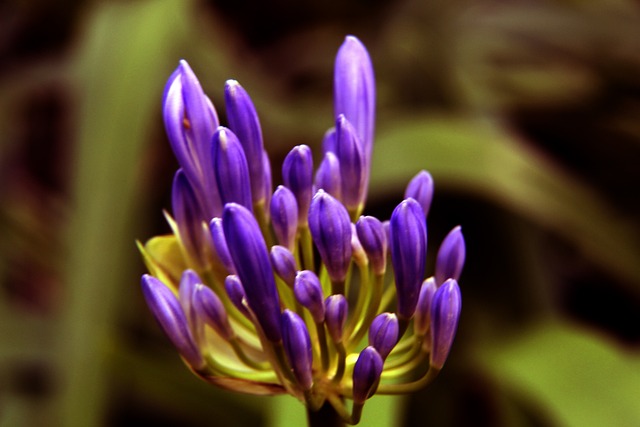 策上的某些 策上的某些