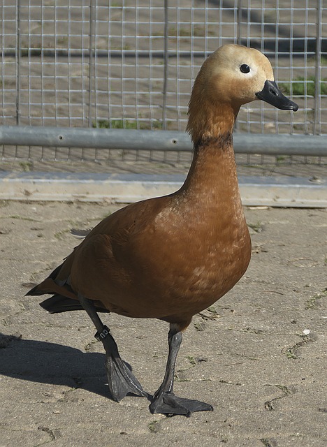 信心受挫